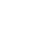 Government